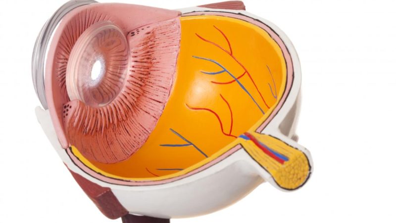 Lifestyle Changes That Complement Central Serous Chorioretinopathy Treatment